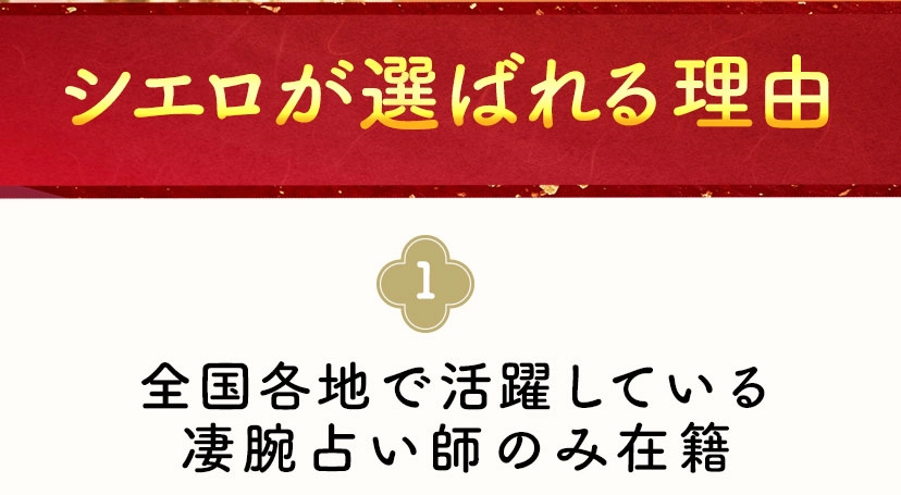 シエロが選ばれる理由
